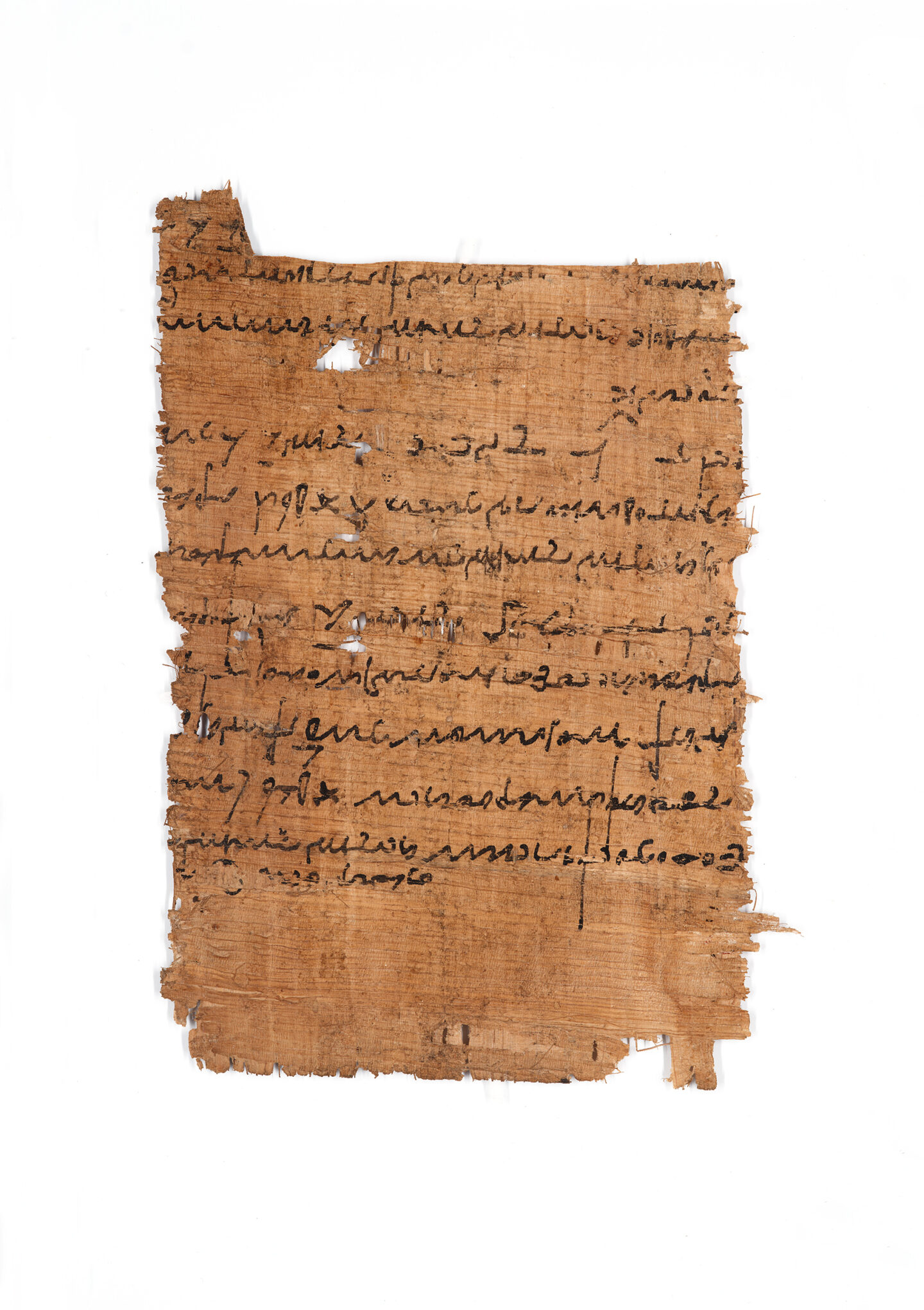 Allard Pierson 2026 Piet And Etty Sijpesteijn Fellowship For APM19224 001